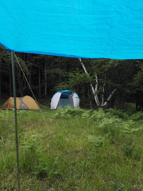 キャンプ